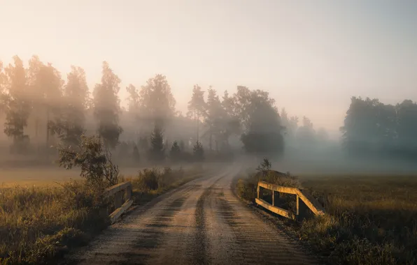 Road, autumn, fog, morning