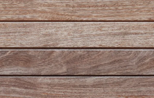 Trees, background, texture, wooden background, potion