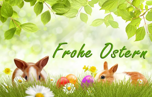 Picture flowers, eggs, spring, rabbit, Easter, tulips, flowers, tulips
