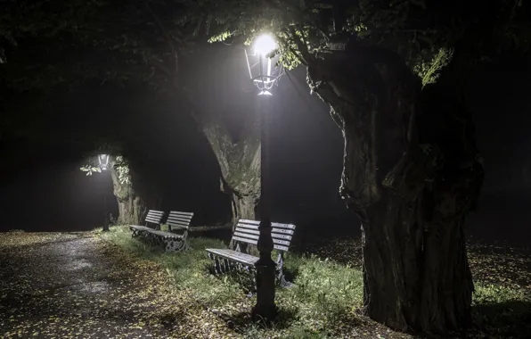 Picture night, the city, Park, bench