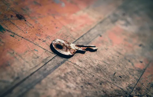 Picture macro, background, key