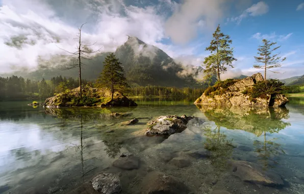 Picture forest, the sky, clouds, light, mountains, fog, stones, rocks