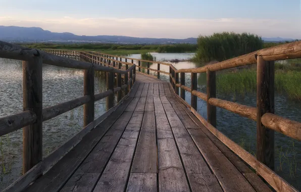 Picture summer, bridge, river
