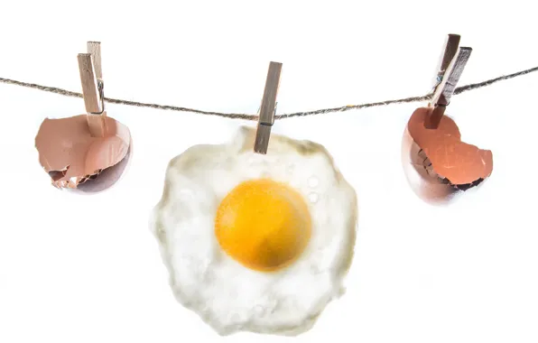 Shell, clothespins, cord, egg