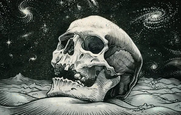 Space, stars, skull, sake