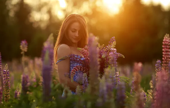 Picture trees, field, nature, flowers, model, women, brunette, plants