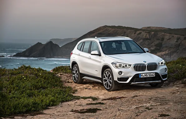 Picture sand, sea, rocks, shore, BMW, BMW, xDrive, SUV