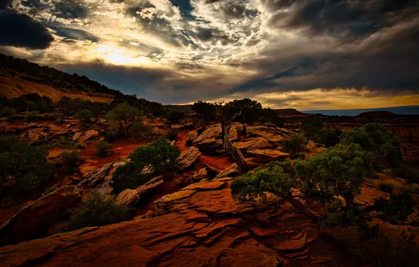 The sky, trees, sunset, mountains, clouds, stones, rocks, vegetation