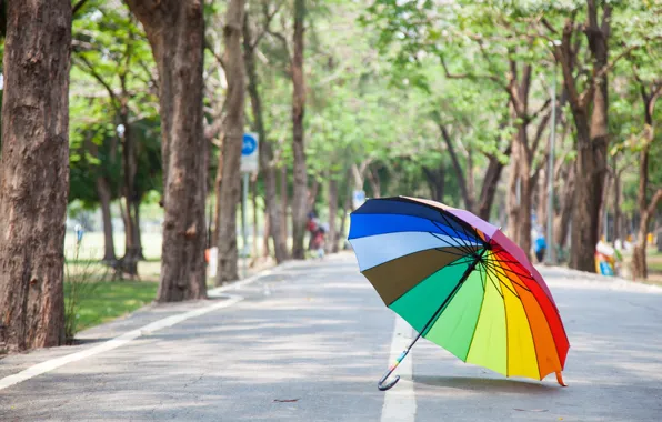Road, summer, trees, Park, rainbow, umbrella, colorful, rainbow