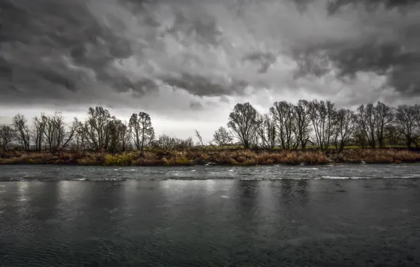 The sky, clouds, trees, landscape, nature, lake, rain, plants