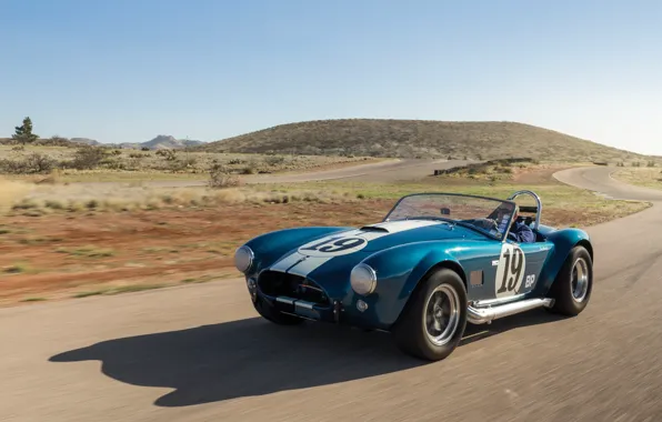 Picture car, Shelby, Cobra, legendary, white stripes, Shelby Cobra 289