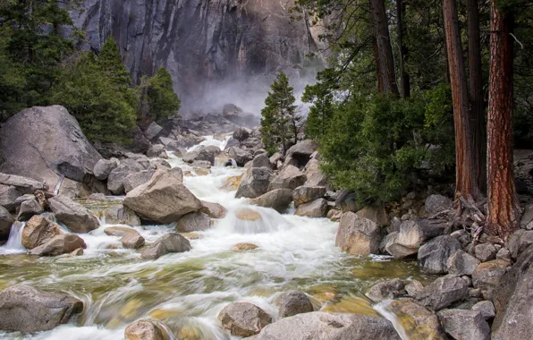 Trees, mountains, fog, stream, stones, rocks, for, USA