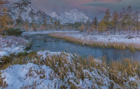 Winter, forest, grass, clouds, snow, mountains, nature, river