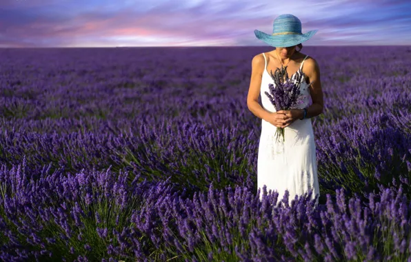 Picture summer, girl, lavender