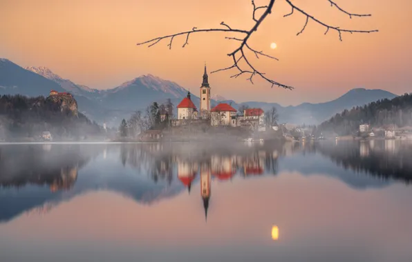 Picture mountains, lake, reflection, island, branch, Slovenia, Lake Bled, Slovenia