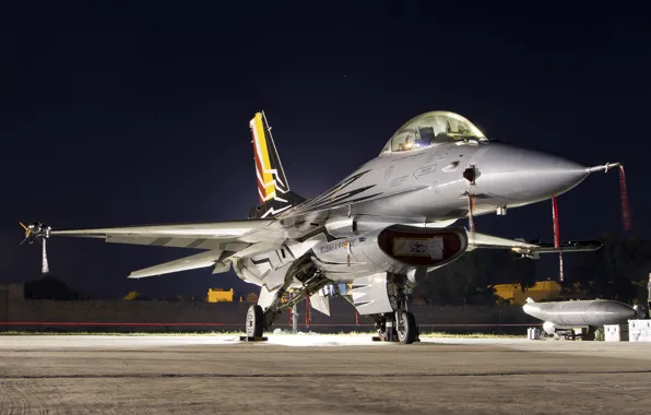 Picture fighter, Falcon, multipurpose, F-16AM
