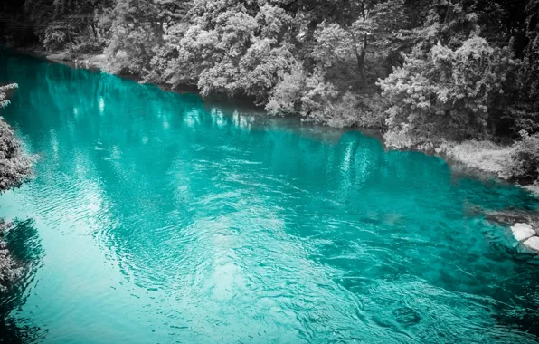 Forest, nature, river, seasons, bluish