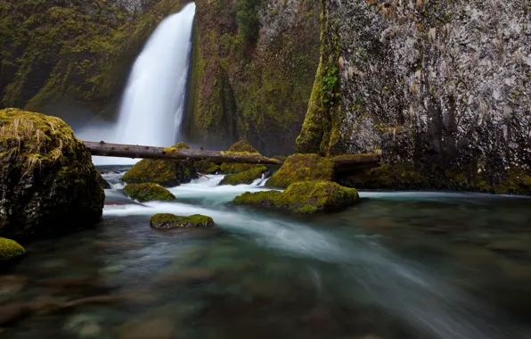 Picture water, branches, nature, river, stones, rocks, waterfall