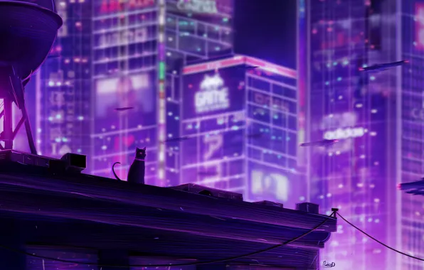 Picture cat, night, the city, by RicoDZ