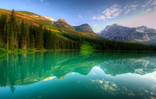 Forest, mountains, lake, rocks, Canada, Canada, snow., Yoho