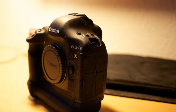 Macro, background, Canon 1DX