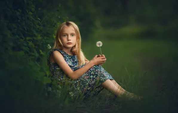 Summer, dandelion, girl