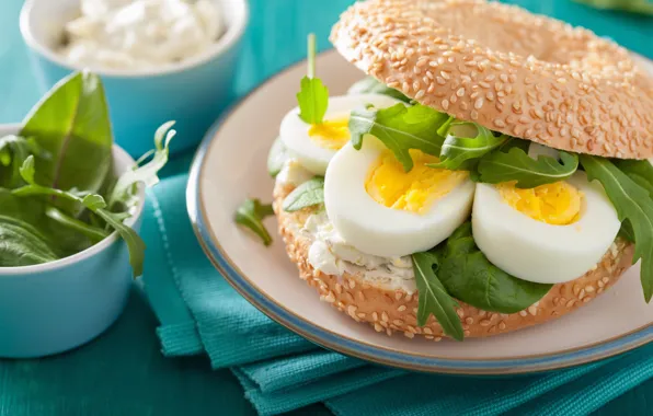 Food, eggs, plate, sandwich, salad, buns