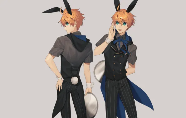 Rabbit, guy, Bunny, tray, Fanart, the waiter, Fate/Grand Order, Pixiv