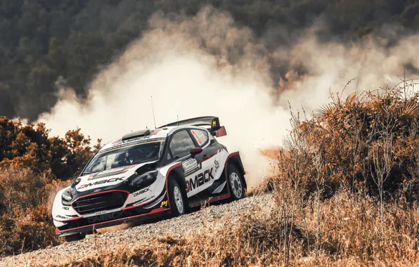 Ford, Auto, Sport, Machine, Ford, Race, Car, WRC