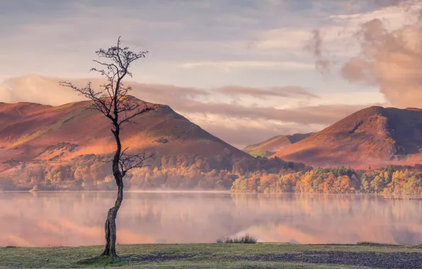 Picture autumn, mountains, England, The lake district