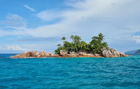 Picture sea, stones, palm trees, coast, island