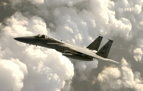 Picture the sky, the plane, fighter, F-15 Eagle