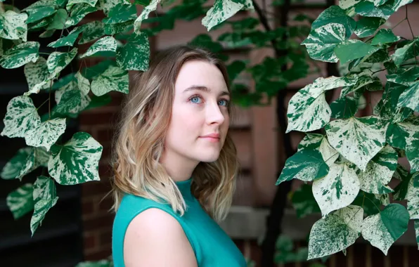 Brooklyn, Brooklyn, Saoirse Ronan, Saoirse Ronan, for the film, at the photo shoot