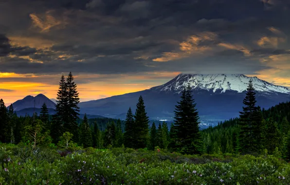 Forest, sunset, mountains, clouds, CA, USA