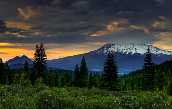 Picture forest, sunset, mountains, clouds, CA, USA