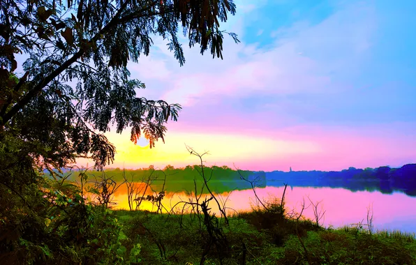 Sun, Water, Sunrise, Dawn, Morning, Lake, Trees, Reflection