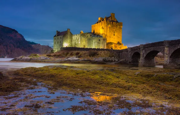 Bridge, castle, shore, pond