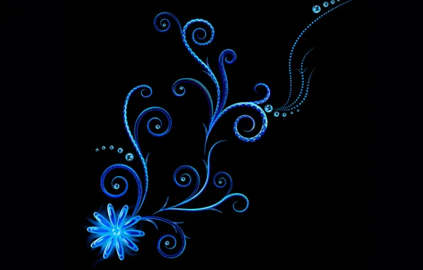 Picture line, flowers, abstraction, vector, curves, black background