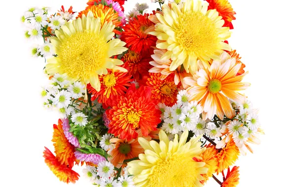 Picture bouquet, white background, chrysanthemum