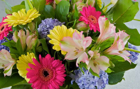 Leaves, Lily, bouquet, petals, gerbera