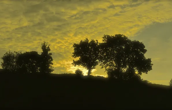The sky, clouds, trees, sunset, hills, silhouette