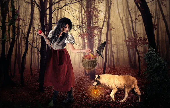 Picture forest, girl, basket, apples, wolf