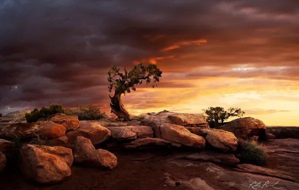 The sky, clouds, stones, tree, rocks