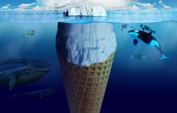The ocean, Iceberg, Creative, whales, orcas, Ice cream, diver