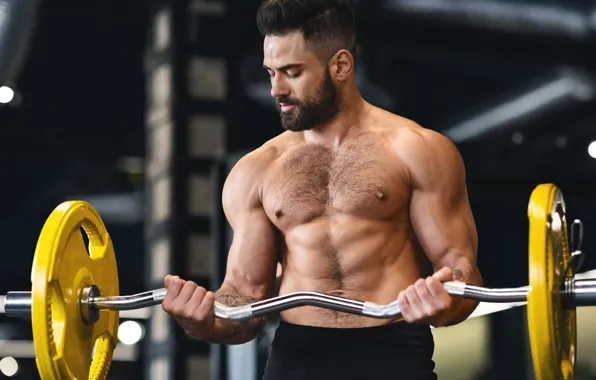 Pose, muscle, muscle, rod, athlete, biceps, gym, bodybuilder