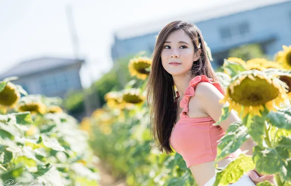 The sun, sunflowers, pose, model, portrait, makeup, brunette, hairstyle