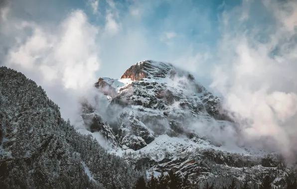 Nature, Clouds, Mountains, Trees, Snow, Mountain, Forest, Landscape