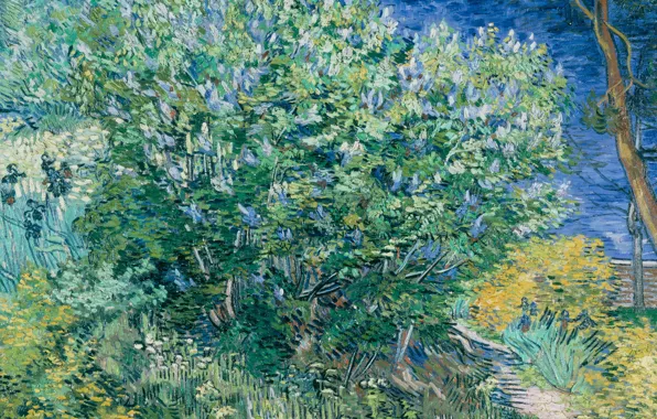 Landscape, picture, Vincent Willem van Gogh, Vincent van Gogh, The Lilac Bush