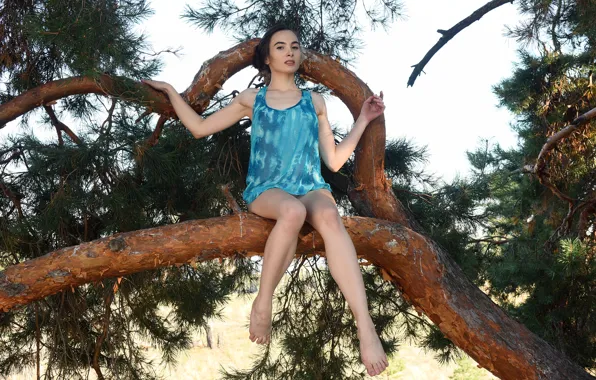 Sky, hot girl, field, nature, tree, outside, sexy woman, countryside