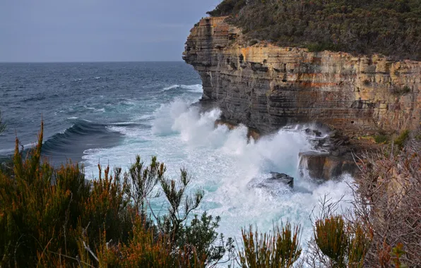 Picture sea, the sky, squirt, storm, rocks